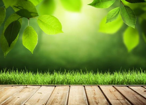 2019年挑地板 除了价格还应该看哪几点？